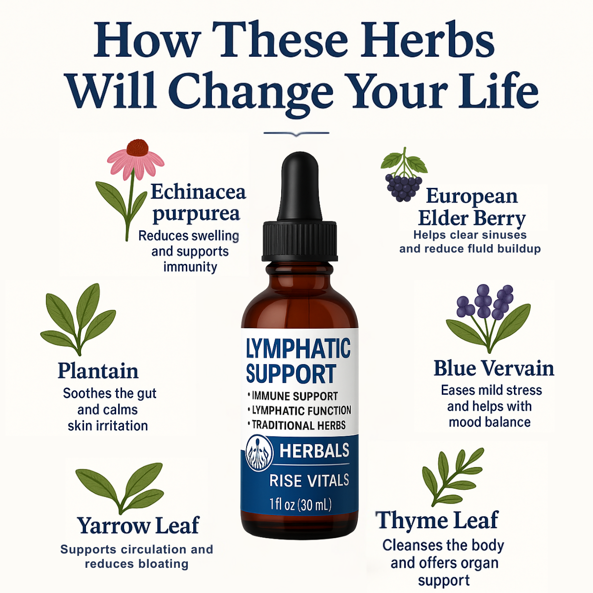 Lymphatic Support Drops (30mL)