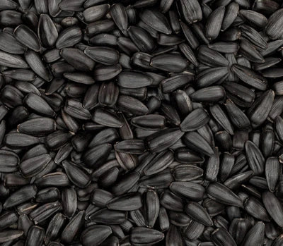 Black Seed Oil