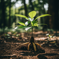 Risevitals Alpha Hormone Drops image Risevitals Alpha Hormone Drops